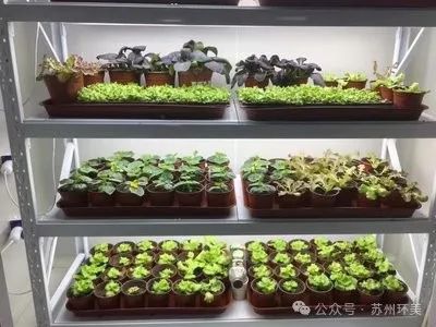 &#24320;&#20113;&#25163;&#26426;&#20837;&#21475;&#45;&#24320;&#20113;&#40;&#20013;&#22269;&#41;